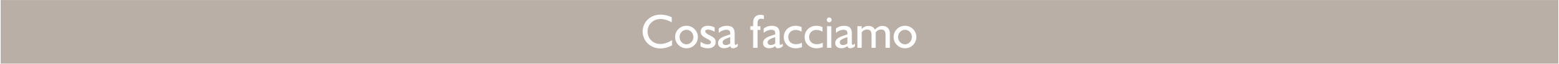 Cosa facciamo
